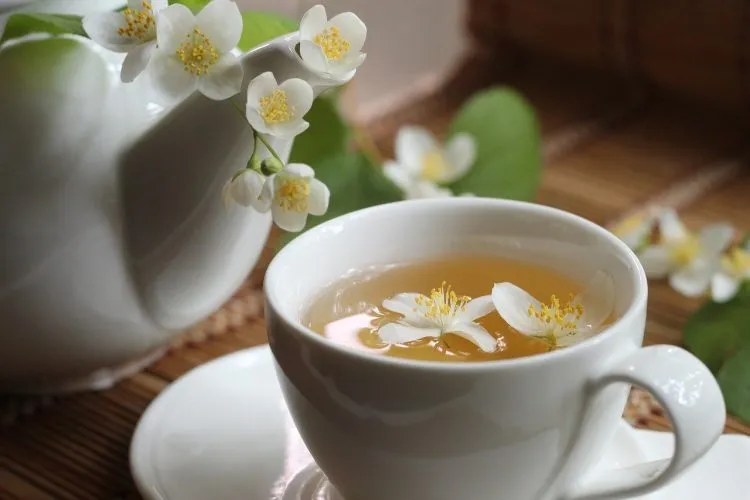 Les 7 principaux bienfaits du thé au jasmin