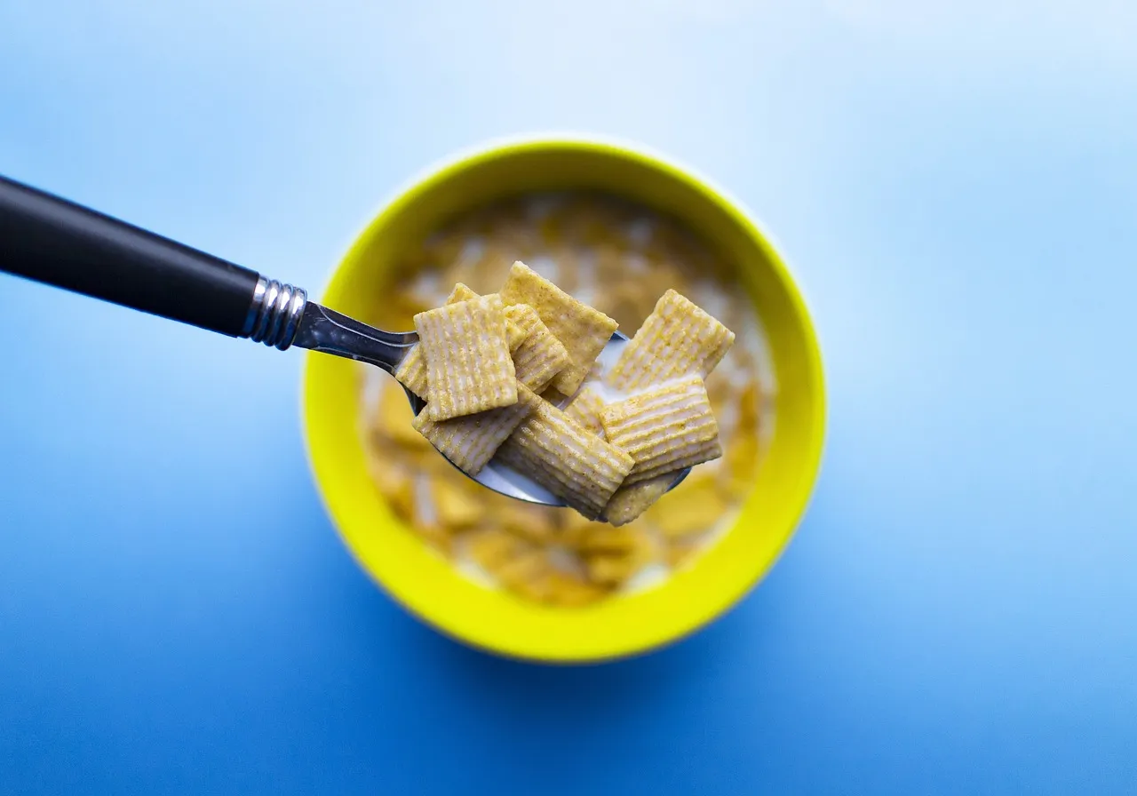 SO SHAPE : Repas hypocaloriques et consistants