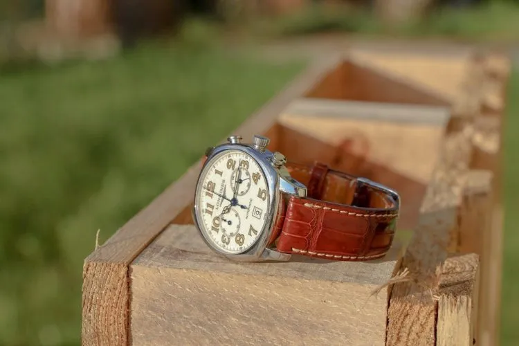 Pourquoi choisir un bracelet de montre alligator?