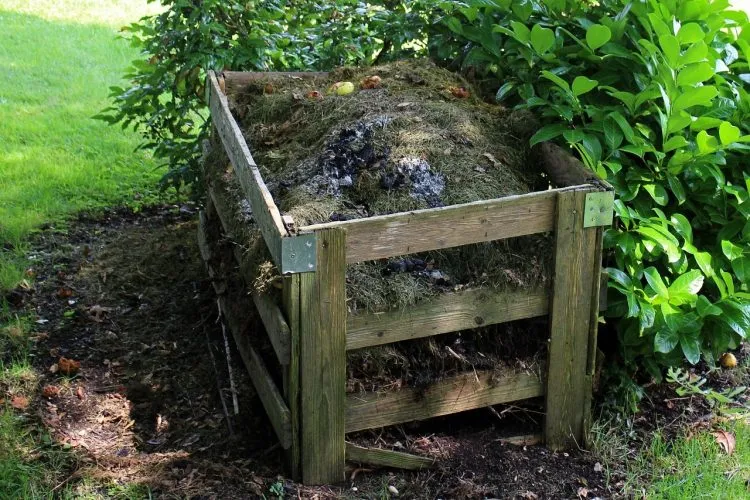 Comment cultiver votre jardin sain et biologique ?