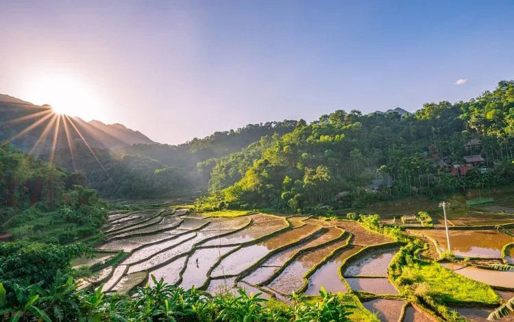 Rizières de banaue: une merveille à voir absolument!