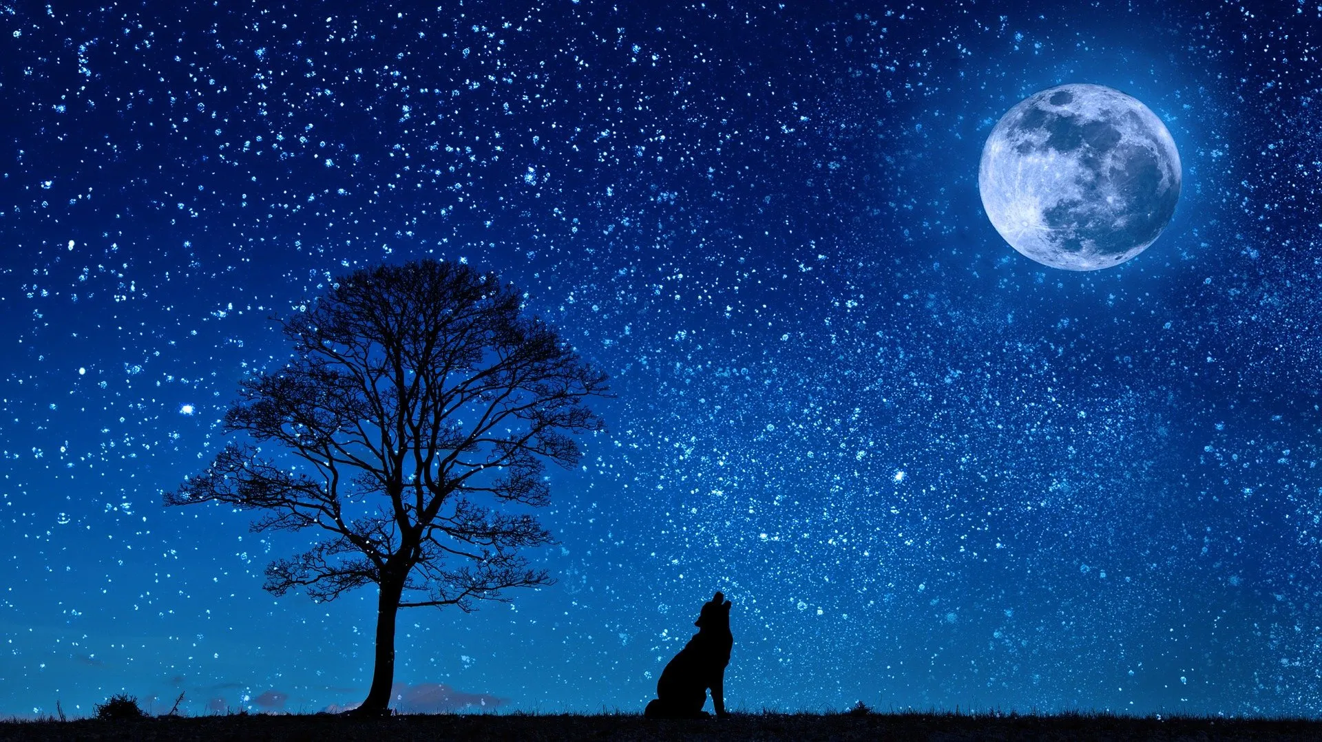 Découvrez tous les effets potentiels de la pleine lune