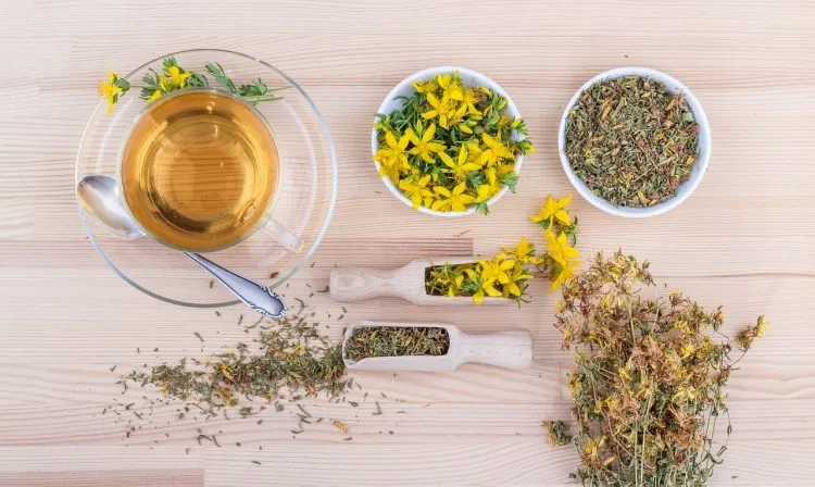 Guide de la naturopathie pour les troubles fonctionnels