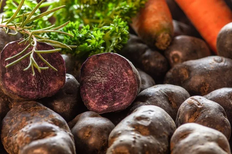 La marque My Veggie: le naturel au service des consommateurs