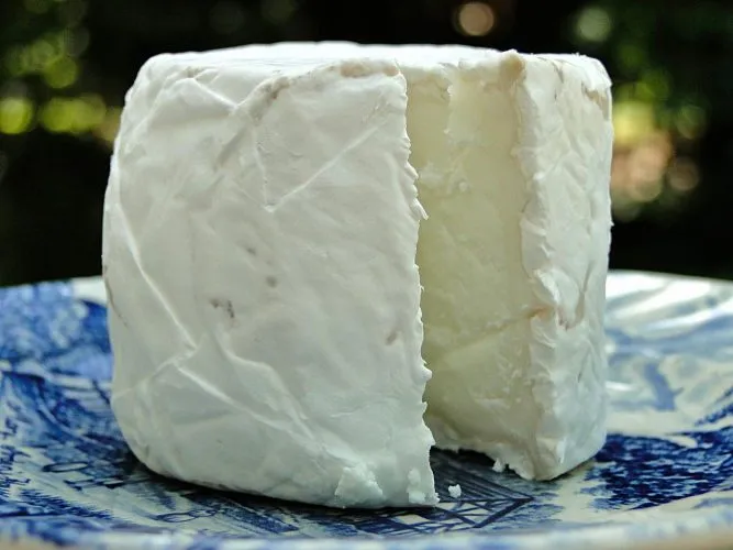 Les bienfaits du lait de chèvre et les recettes de fromage de chèvre