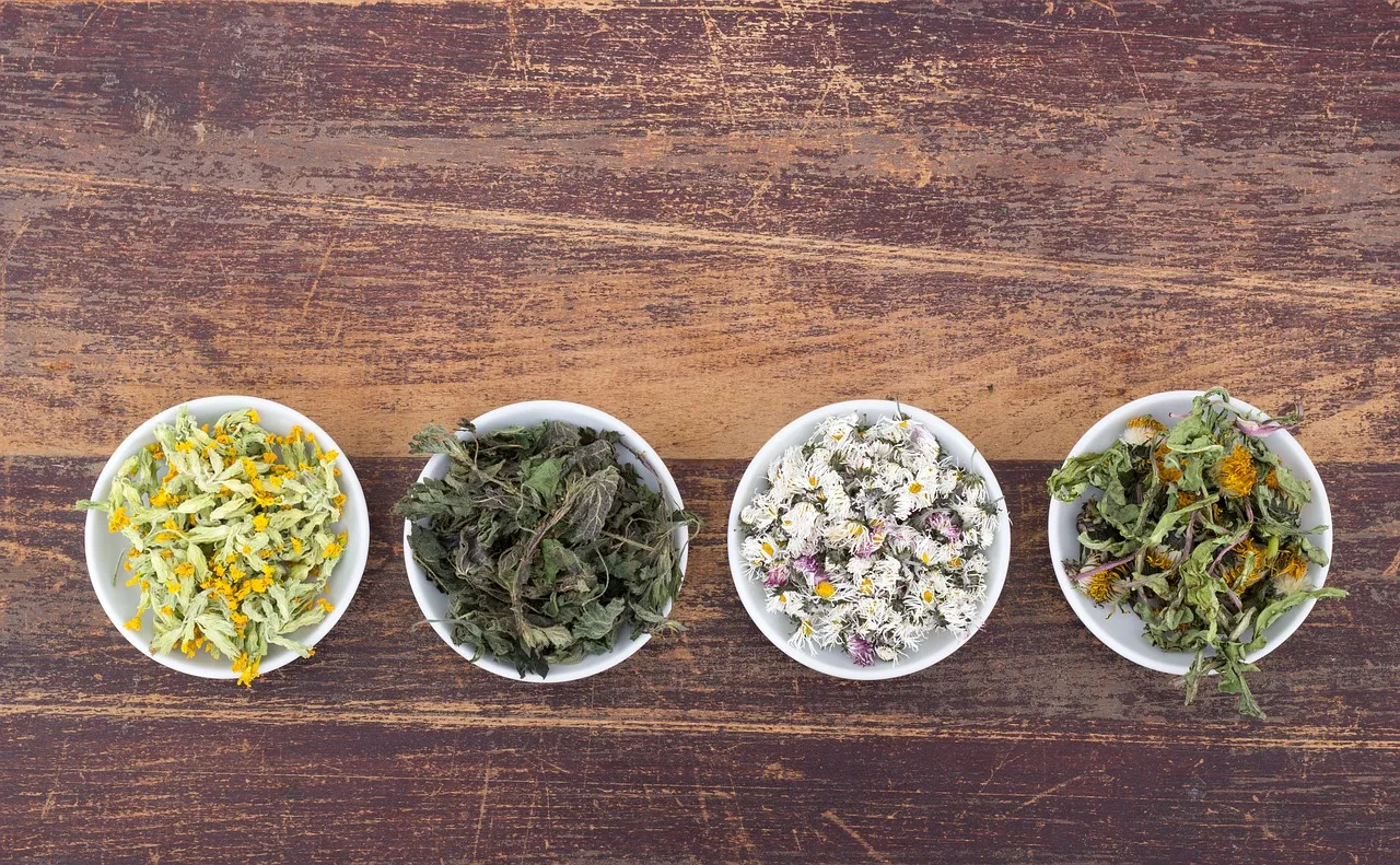La naturopathie peut-elle aider à renforcer le système immunitaire ?