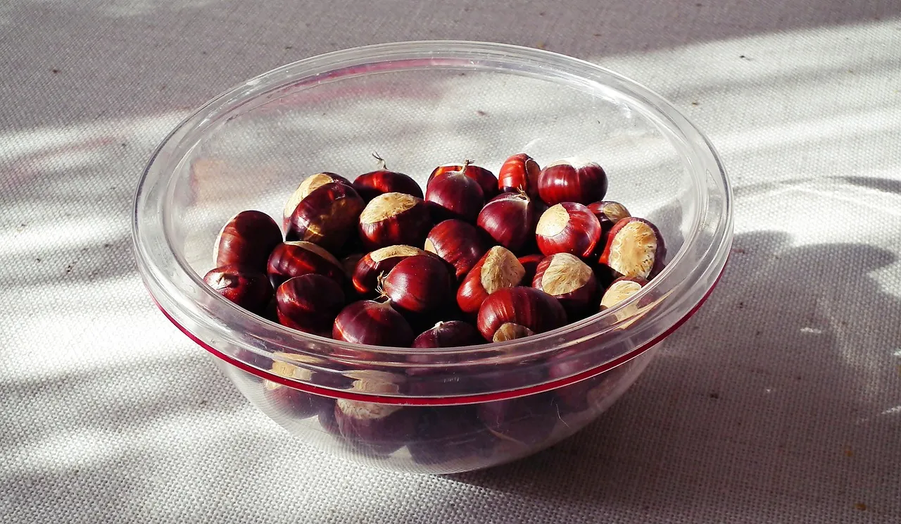 Découvrez la douceur irrésistible des marrons glacés dans un écrin raffiné