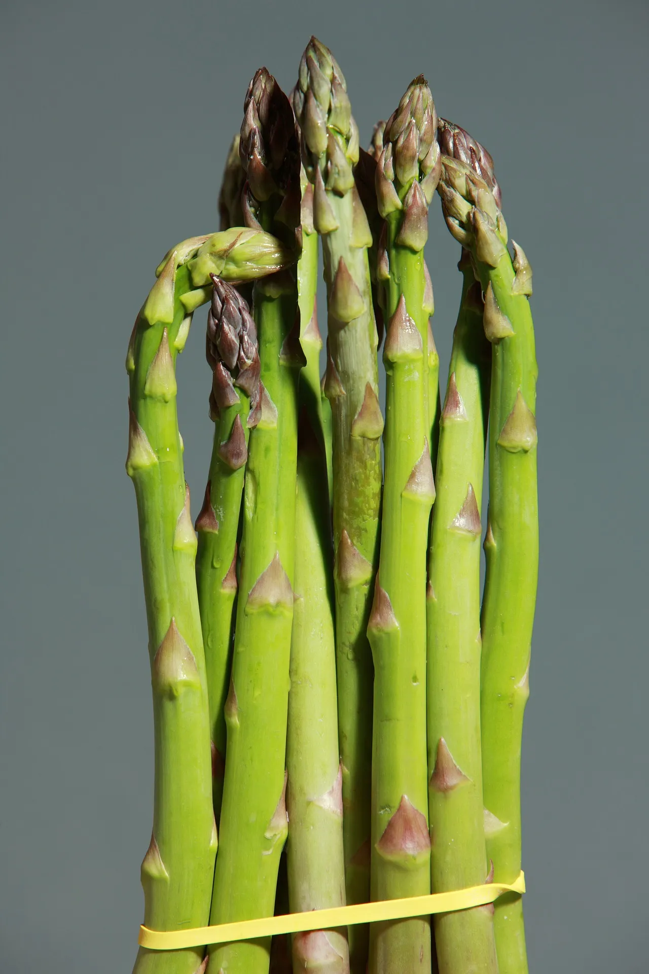 Comment cuisiner les asperges : 6 façons délicieusement simples de les essayer