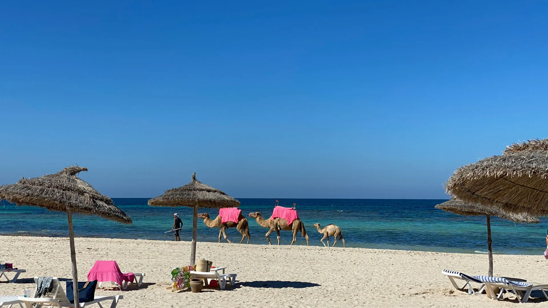 Djerba, une invitation à la détente entre plages de sable fin, soleil et découvertes