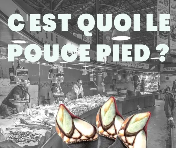 Découvrez la meilleure façon de déguster le pouce pied