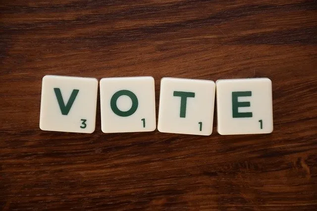 L’importance du vote !