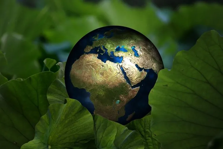 7 conseils pour tout recycler