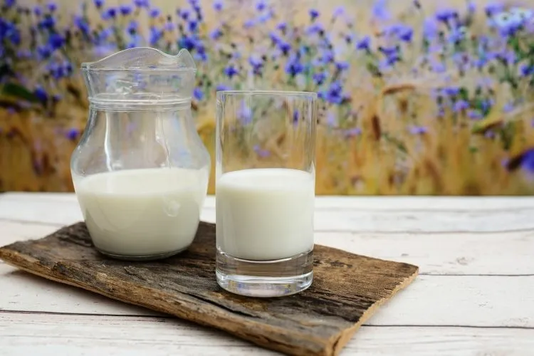 Comment faire du kéfir de lait ?