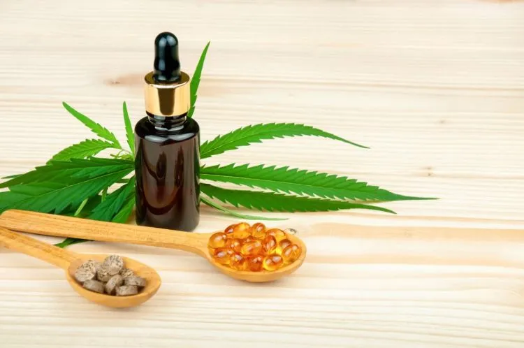 Huile de CBD : tout savoir sur sa légalité