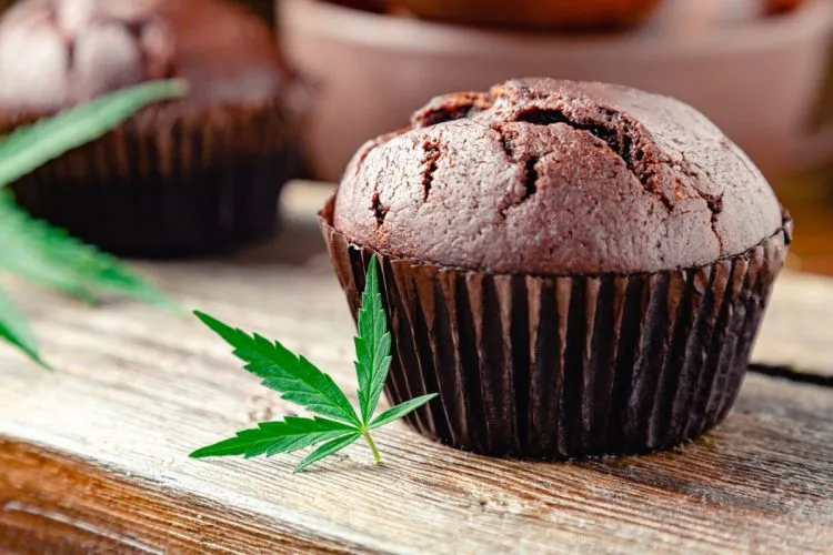 Quelques recettes de gâteaux au CBD