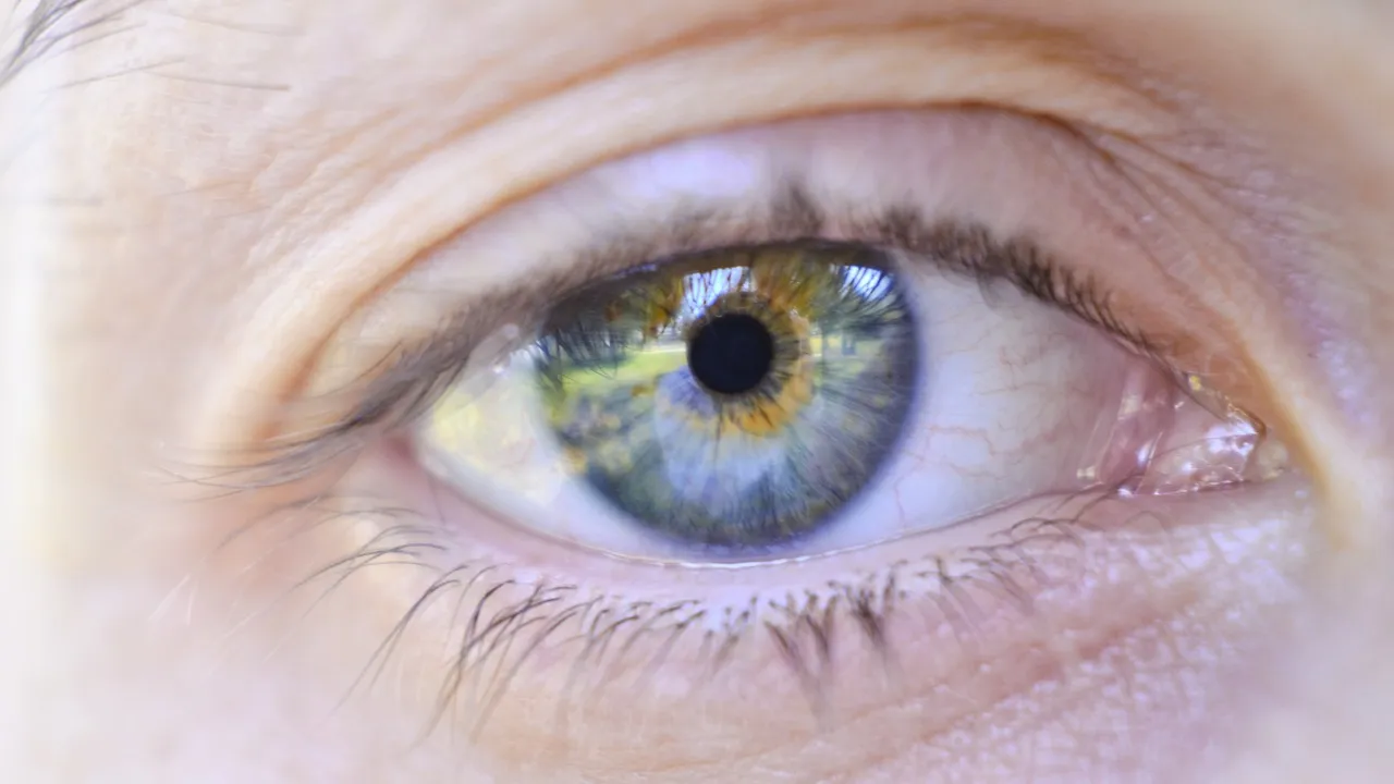 Comment choisir ses lentilles de couleur