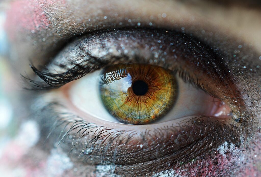 lentilles de contact